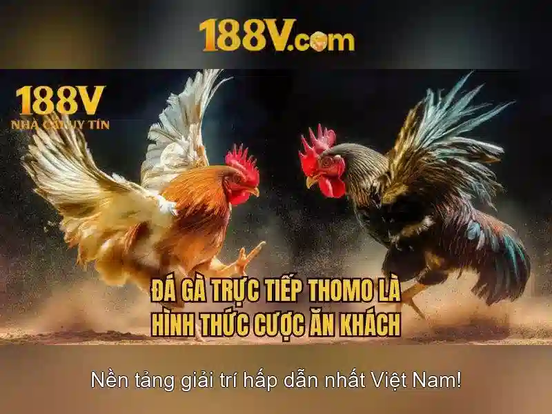 Nguồn gốc và ý nghĩa của 188V