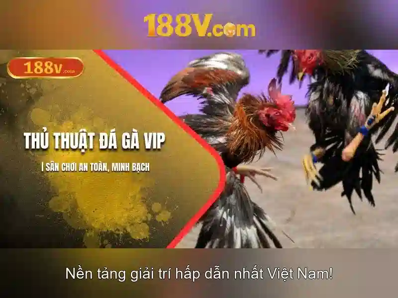 Khám phá 188v: hành trình giữa công nghệ và văn hóa