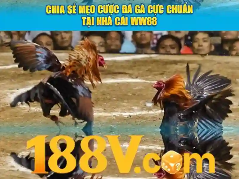 188v app – Tổng quan chủ đề và giá trị cốt lõi
