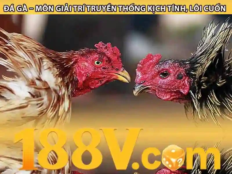 188v com tải app – chủ đề tổng quan và giá trị cốt lõi