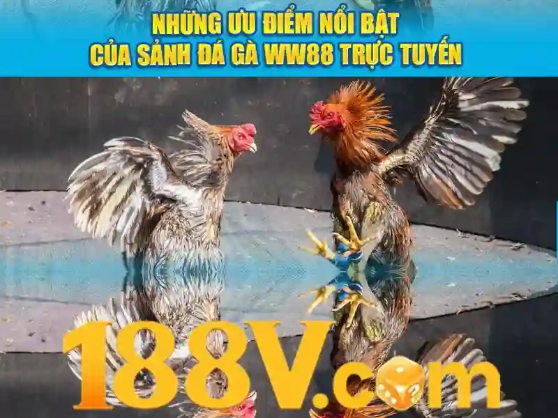 Sản phẩm và dịch vụ chính: ứng dụng thực tế của game 188v